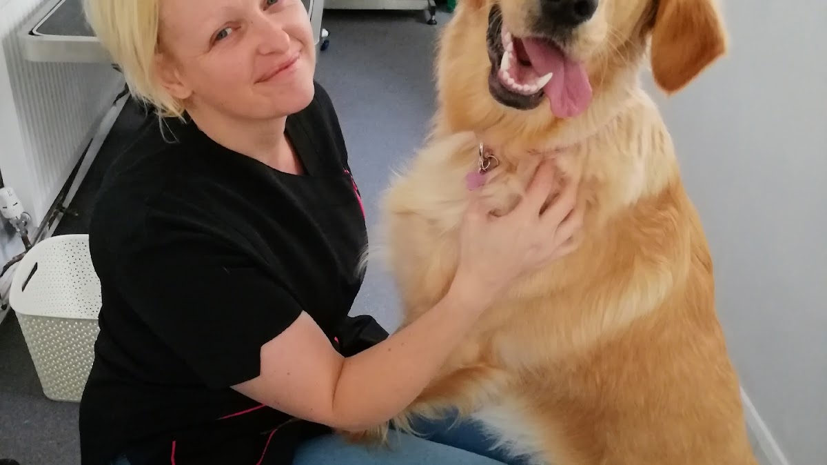 A happy dog after grooming at Barks & Bubbles, Erdington